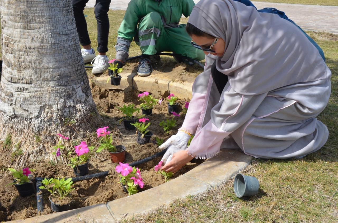 تتجمل طرق واحياء الدمام بالتشجير