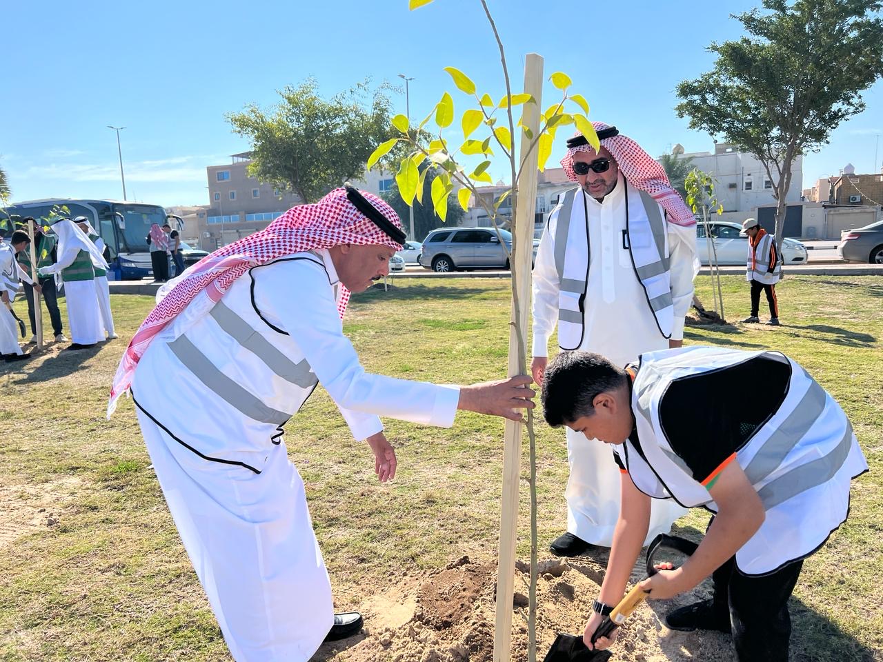 مبادرة تشجير مدن وبلدات القطيف، تحت شعار: 