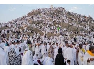 يوم عرفة.. تجليات الإيمان وعظمة الركن الأعظم