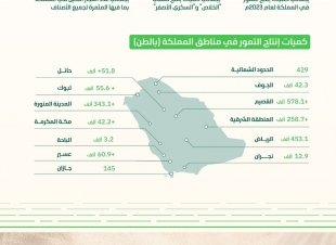 البيئة: إنتاج المملكة من التمور يقترب من مليوني طن في 2023م و الخُلاص والسُّكري يتصدران بأكثر من مليون طن   